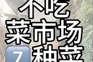 ?本赛季平均三分出手距离排名：特雷-杨8.43米居首 库里第五